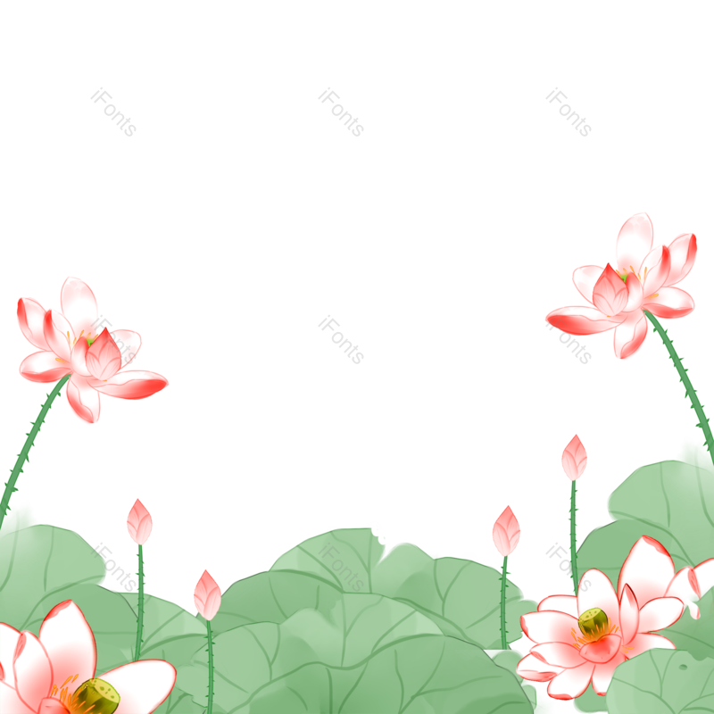 荷花图片,夏天元素,植物素材PNG,荷花素材免抠素材